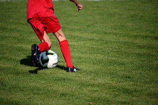 九游体育下载-篮球运动员心理韧性培养及心理干预体系建设，篮球运动员心理素质的重要性